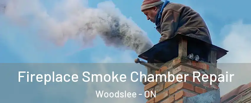  Fireplace Smoke Chamber Repair Woodslee - ON