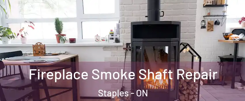  Fireplace Smoke Shaft Repair Staples - ON