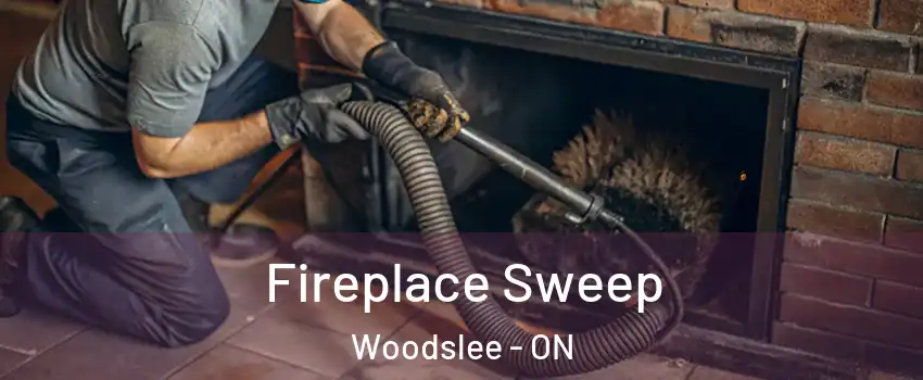  Fireplace Sweep Woodslee - ON