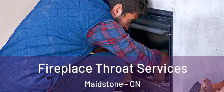  Fireplace Throat Services Maidstone - ON