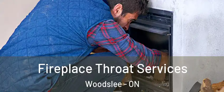  Fireplace Throat Services Woodslee - ON