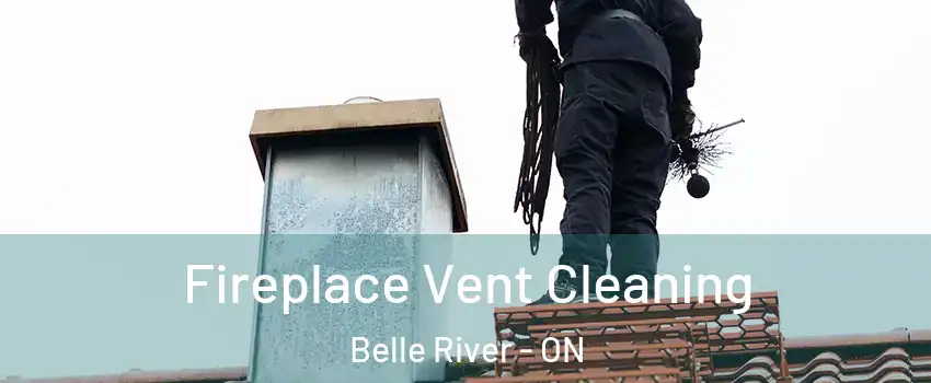  Fireplace Vent Cleaning Belle River - ON