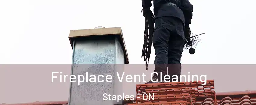  Fireplace Vent Cleaning Staples - ON