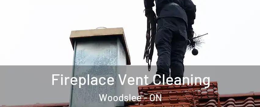  Fireplace Vent Cleaning Woodslee - ON