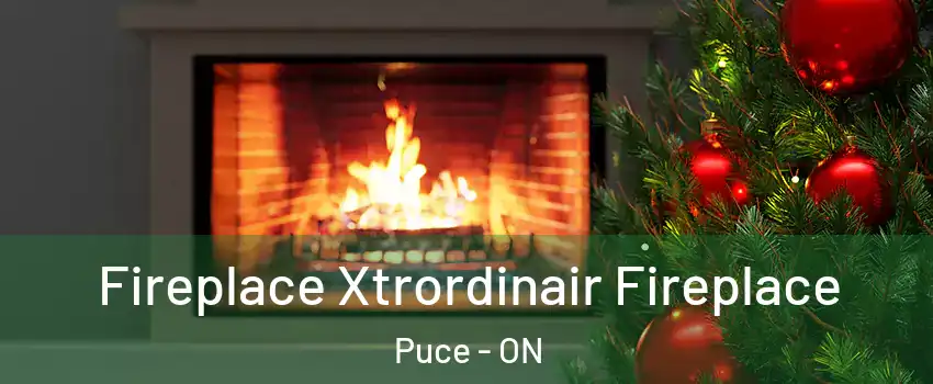  Fireplace Xtrordinair Fireplace Puce - ON