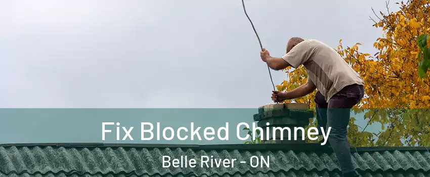  Fix Blocked Chimney Belle River - ON