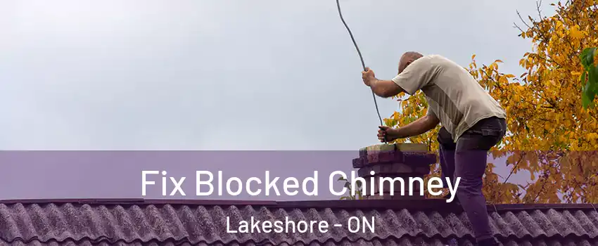  Fix Blocked Chimney Lakeshore - ON