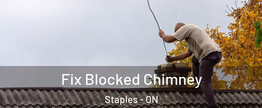  Fix Blocked Chimney Staples - ON