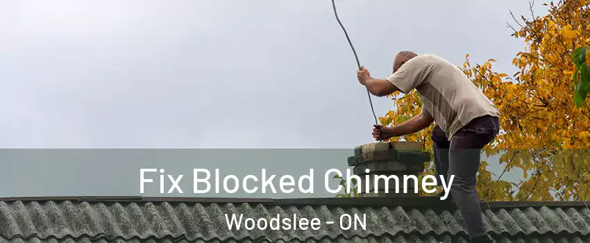  Fix Blocked Chimney Woodslee - ON