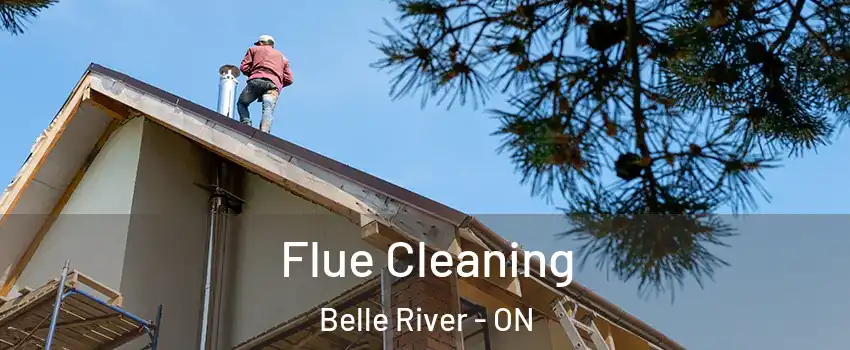  Flue Cleaning Belle River - ON