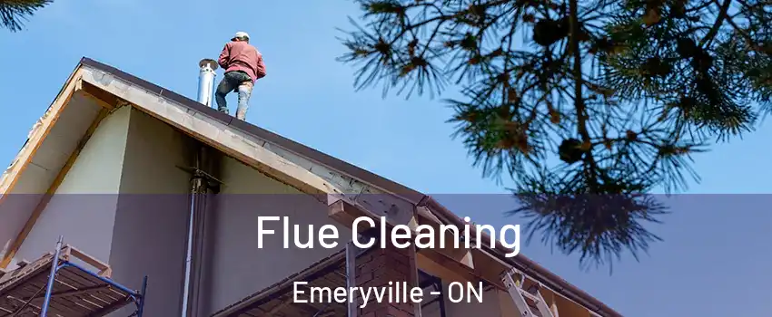  Flue Cleaning Emeryville - ON