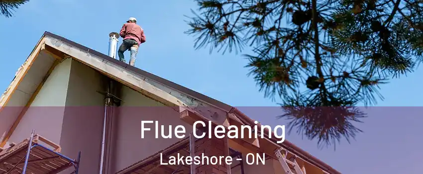  Flue Cleaning Lakeshore - ON