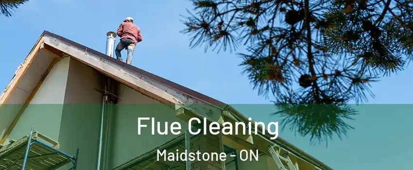  Flue Cleaning Maidstone - ON