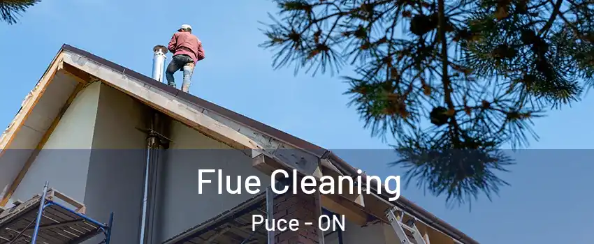  Flue Cleaning Puce - ON