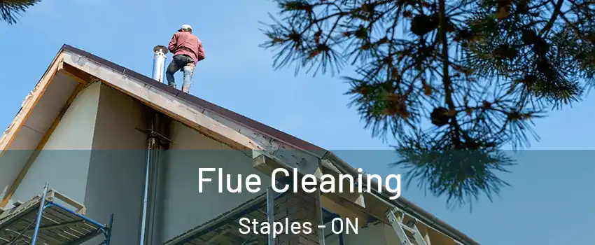  Flue Cleaning Staples - ON