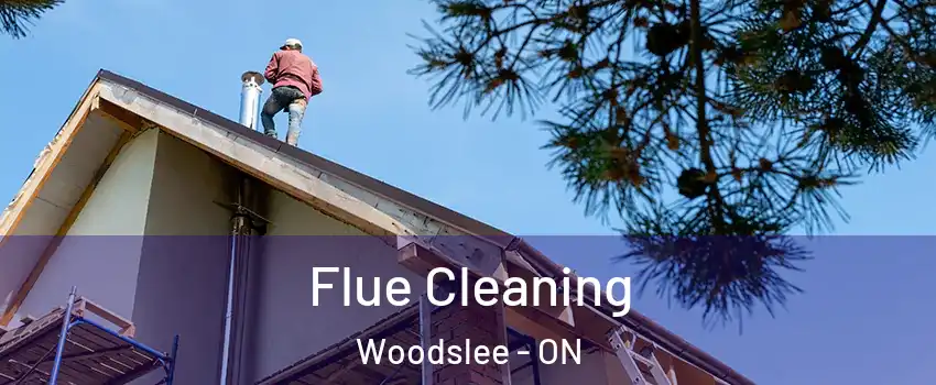  Flue Cleaning Woodslee - ON