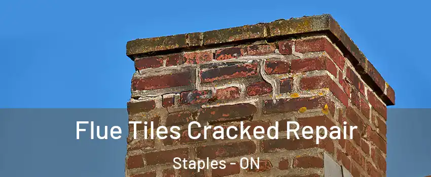  Flue Tiles Cracked Repair Staples - ON