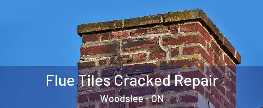  Flue Tiles Cracked Repair Woodslee - ON