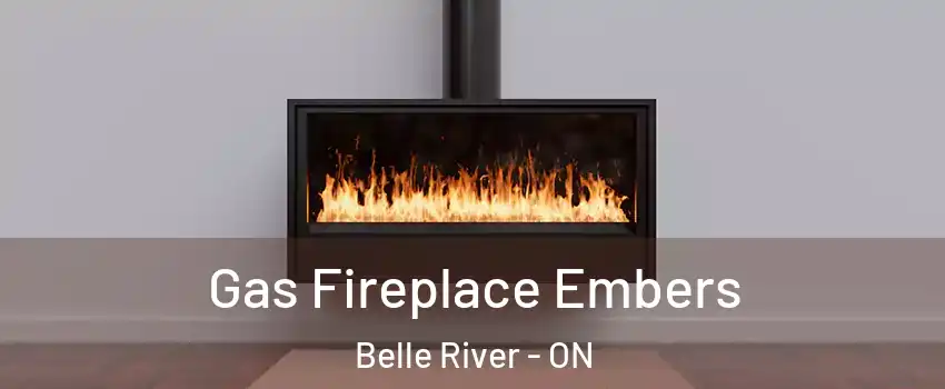  Gas Fireplace Embers Belle River - ON