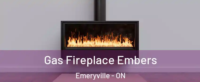  Gas Fireplace Embers Emeryville - ON