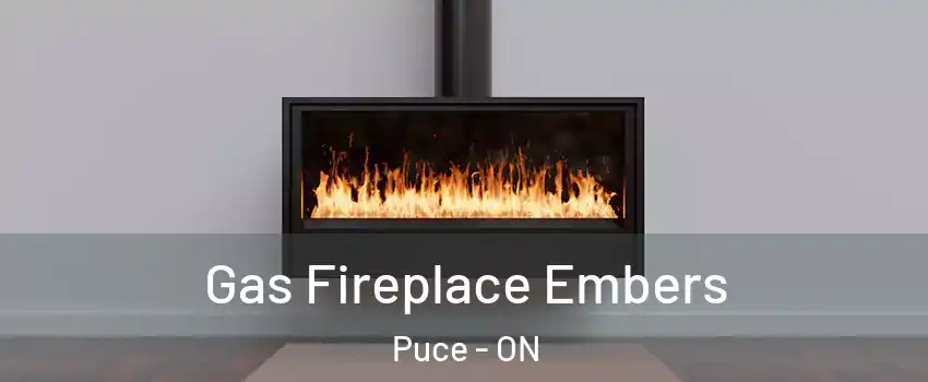  Gas Fireplace Embers Puce - ON