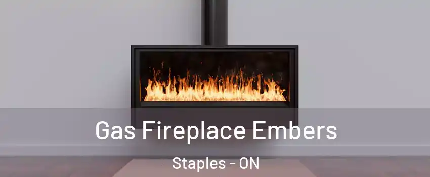  Gas Fireplace Embers Staples - ON