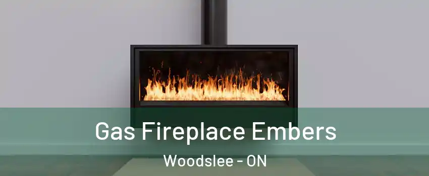  Gas Fireplace Embers Woodslee - ON