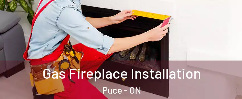 Gas Fireplace Installation Puce - ON