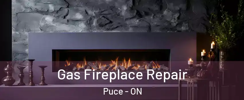  Gas Fireplace Repair Puce - ON