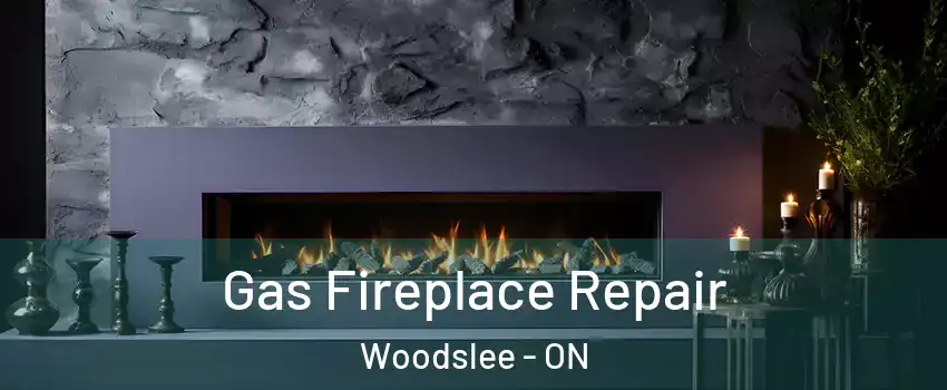  Gas Fireplace Repair Woodslee - ON