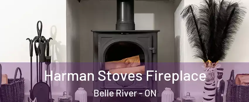  Harman Stoves Fireplace Belle River - ON