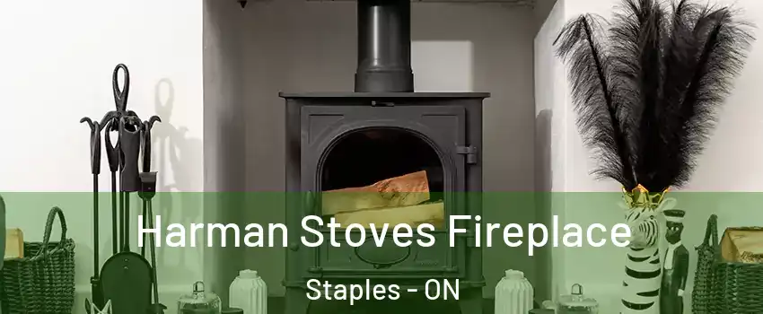  Harman Stoves Fireplace Staples - ON