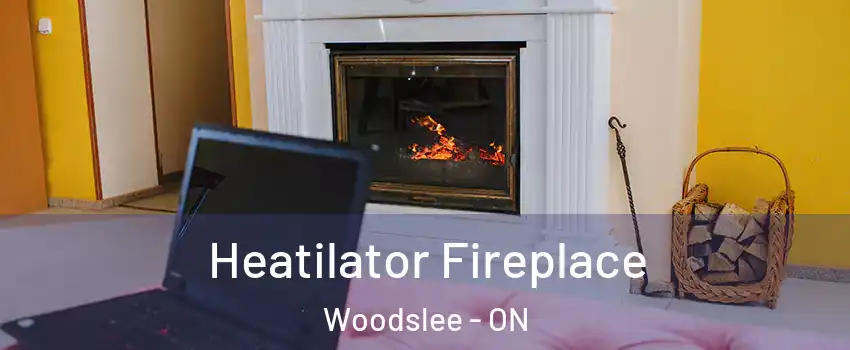  Heatilator Fireplace Woodslee - ON