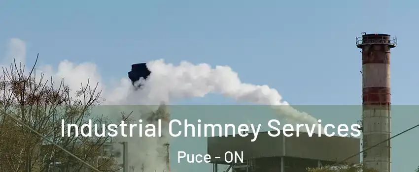  Industrial Chimney Services Puce - ON