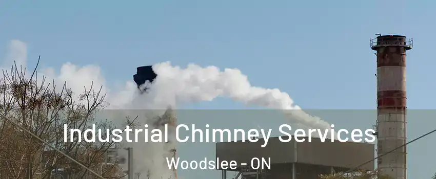  Industrial Chimney Services Woodslee - ON