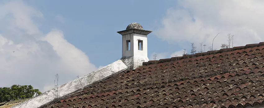 Wind-Resistant Chimney Caps Installation and Repair Services in Lakeshore, Ontario