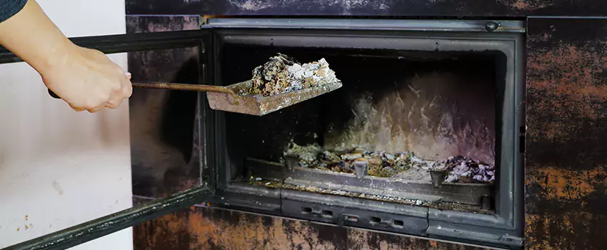 Wood Burning Chimney Odor Removal in Lakeshore, Ontario