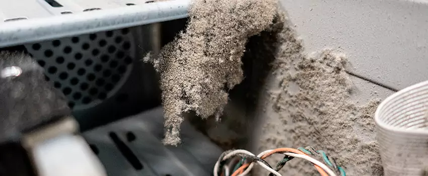Clogged Dryer Vent Lint Cleaning in Ruscom Station, Ontario