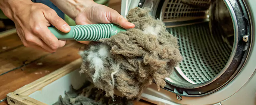 Best Dryer Lint Removal Company in Lakeshore, Ontario