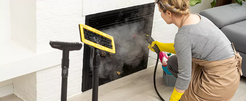Fireplace Doors Cleaning in Lakeshore, Ontario
