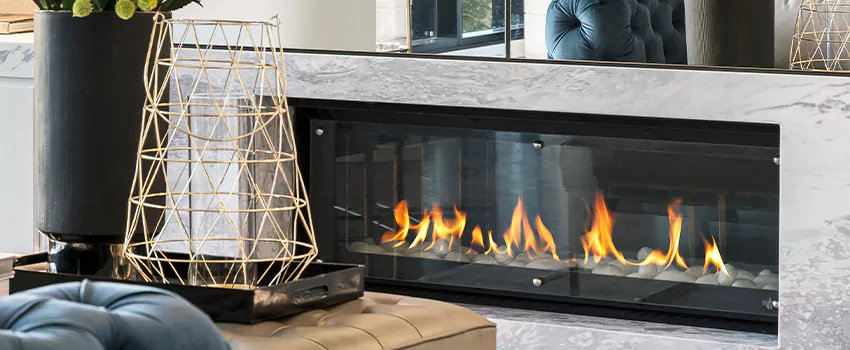 Fireplace Chimney Maintenance in Puce, Ontario