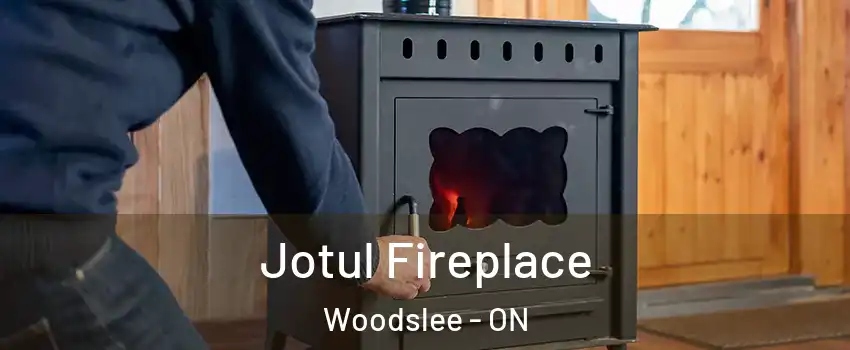  Jotul Fireplace Woodslee - ON