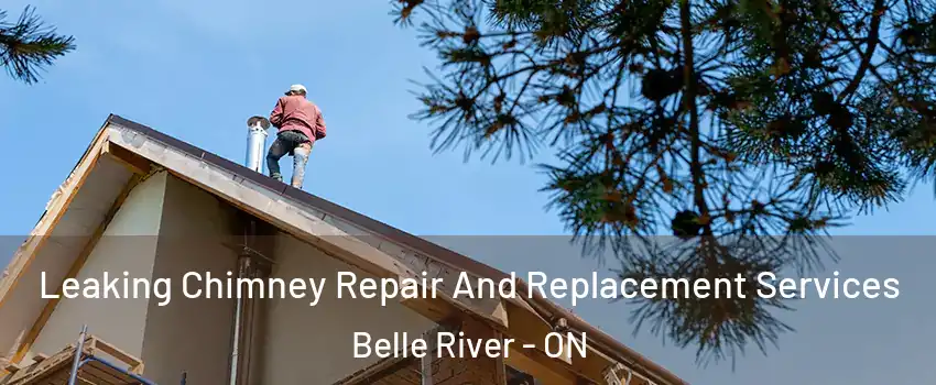  Leaking Chimney Repair And Replacement Services Belle River - ON