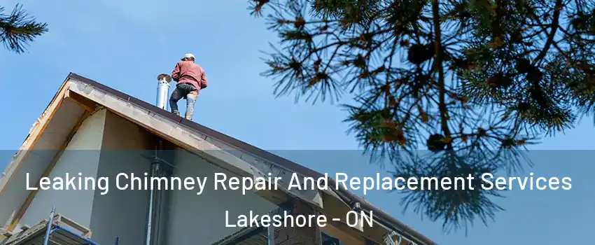  Leaking Chimney Repair And Replacement Services Lakeshore - ON