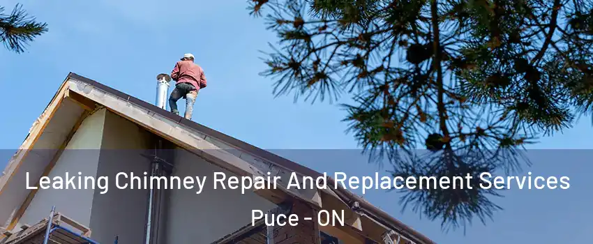  Leaking Chimney Repair And Replacement Services Puce - ON