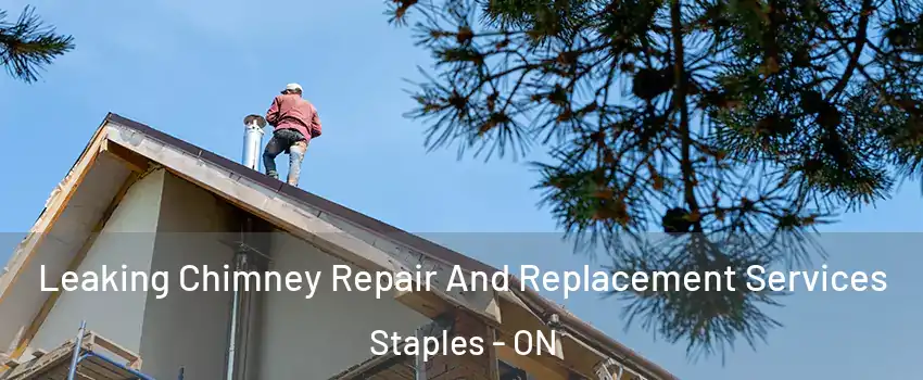  Leaking Chimney Repair And Replacement Services Staples - ON