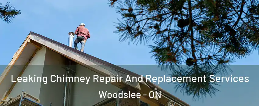  Leaking Chimney Repair And Replacement Services Woodslee - ON