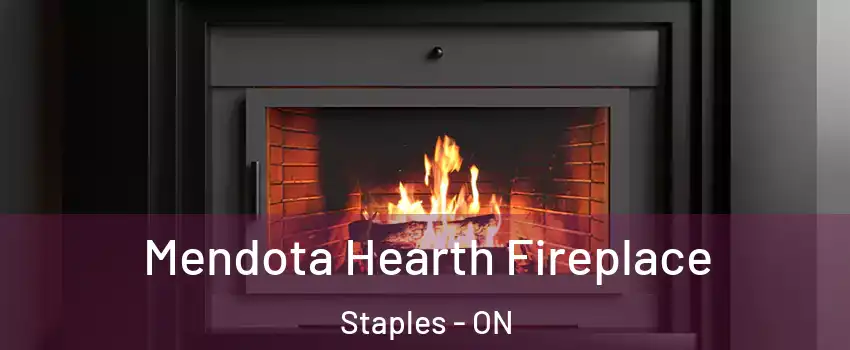  Mendota Hearth Fireplace Staples - ON