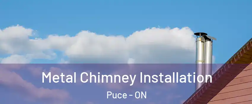  Metal Chimney Installation Puce - ON