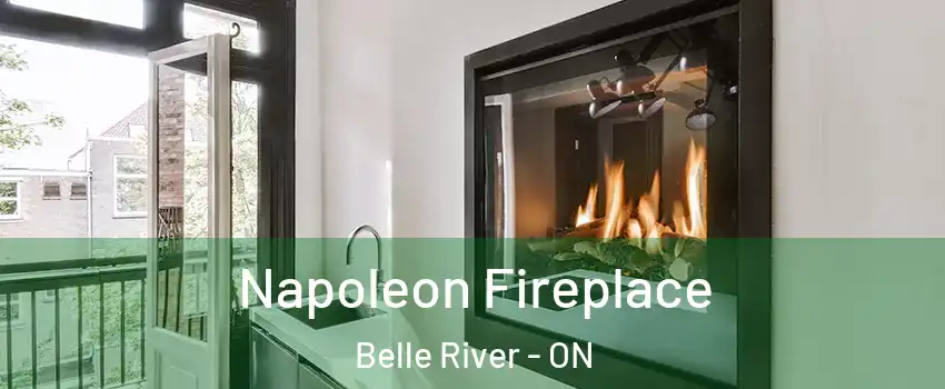  Napoleon Fireplace Belle River - ON
